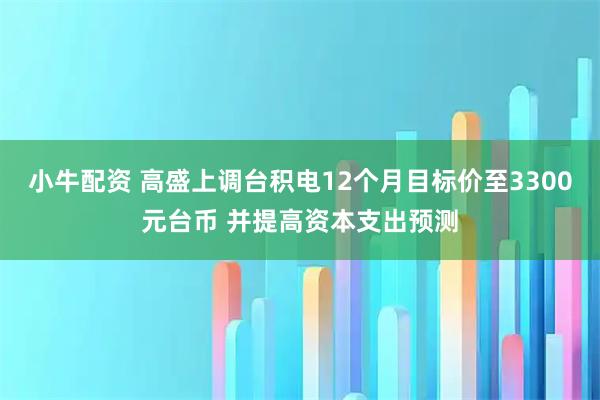 小牛配资 高盛上调台积电12个月目标价至3300元台币 并提高资本支出预测